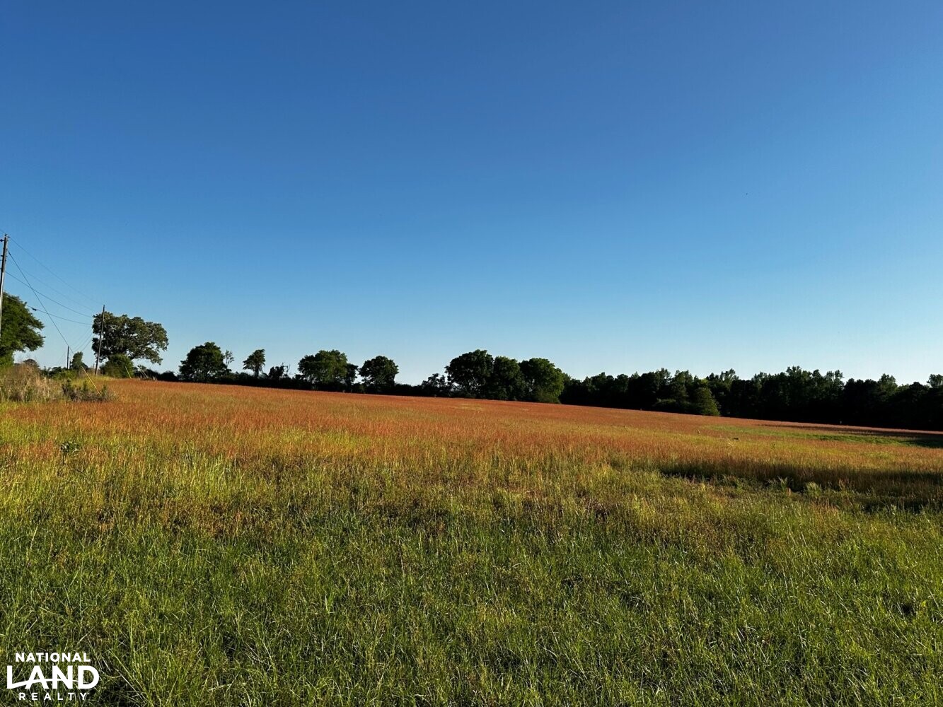Baxterville Farm and Home in Lamar County, Mississippi (41 Photos
