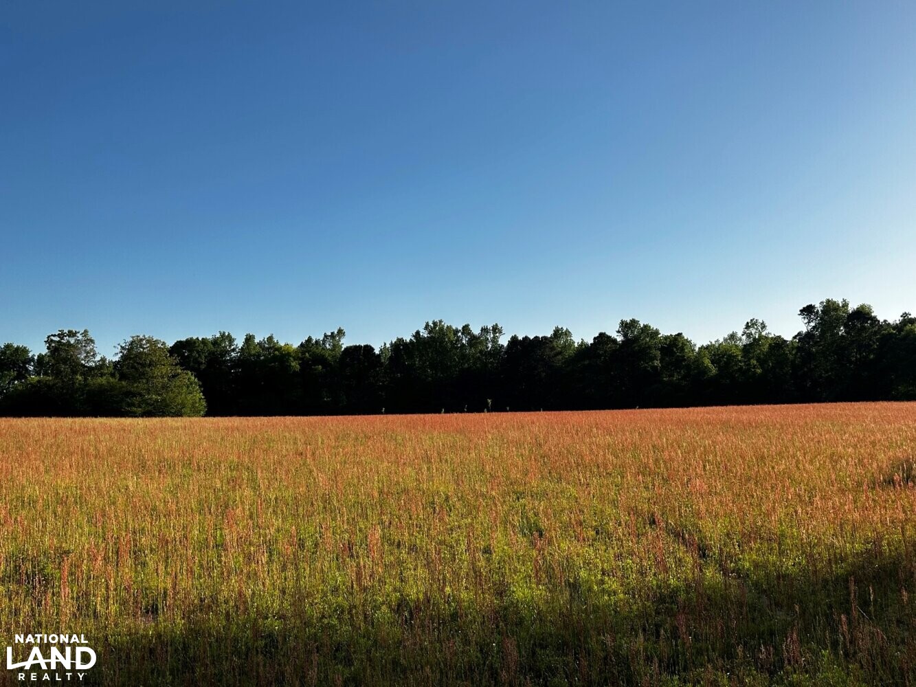 Baxterville Farm and Home in Lamar County, Mississippi (41 Photos
