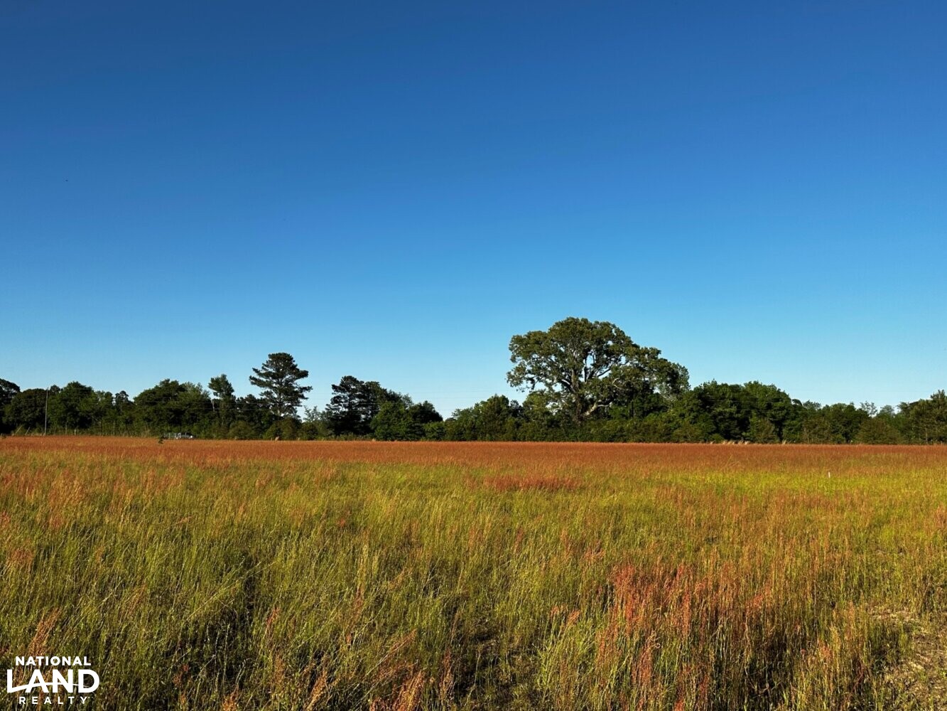 Baxterville Farm and Home in Lamar County, Mississippi (41 Photos