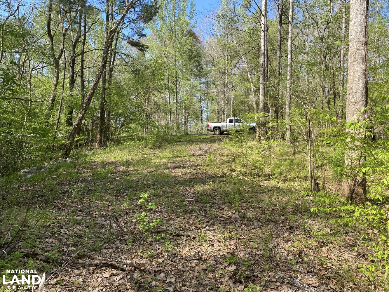 The Grandest Estate Lot in Valley Grande in Dallas County, Alabama (18 Photos) National Land