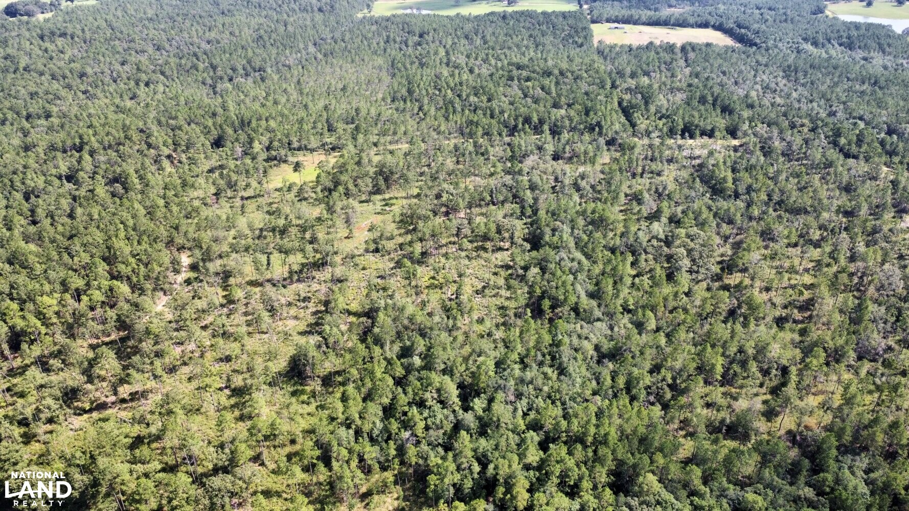 Copeland Hunting & Timber Investment Tract 3 in Washington County