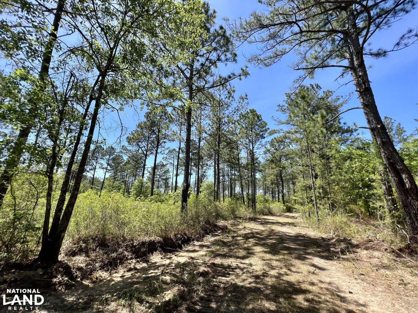 Copeland Hunting & Timber Investment Tract 3 in Washington County