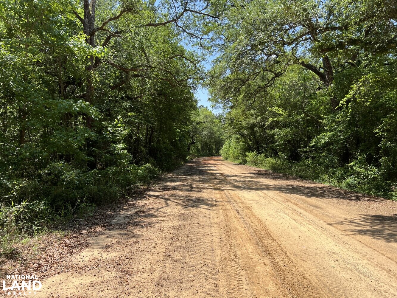 Hightower Timber and Recreational Investment in Early County,