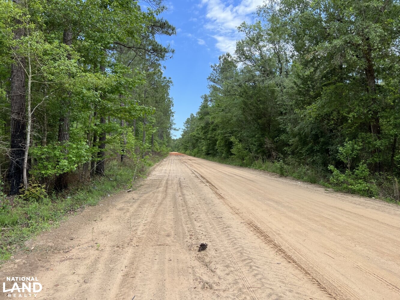 Hightower Timber and Recreational Investment in Early County,