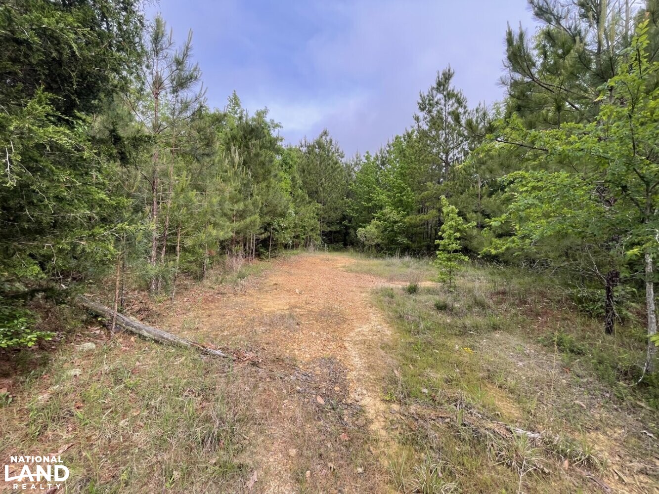 Callison Hunting & Recreational Property in Greenwood County, South