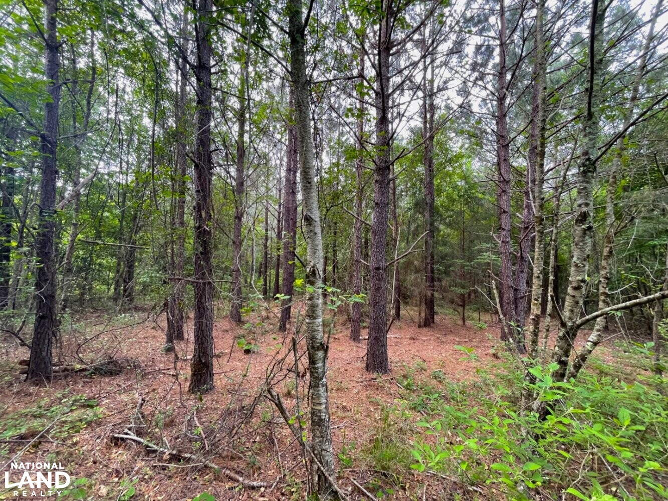 Callison Hunting & Recreational Property in Greenwood County, South