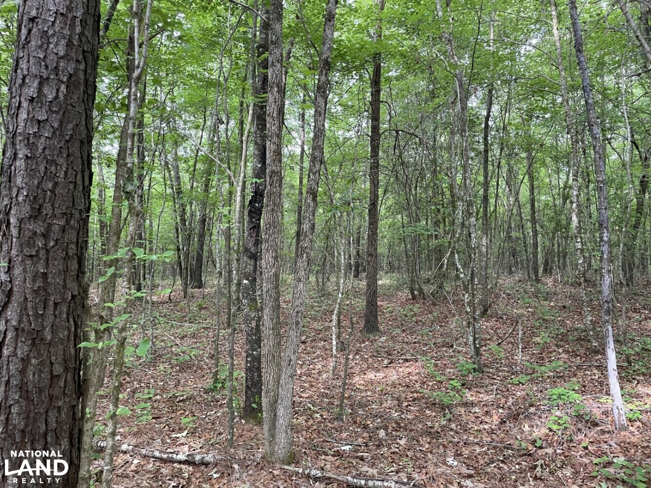 Callison Hunting & Recreational Property in Greenwood County, South