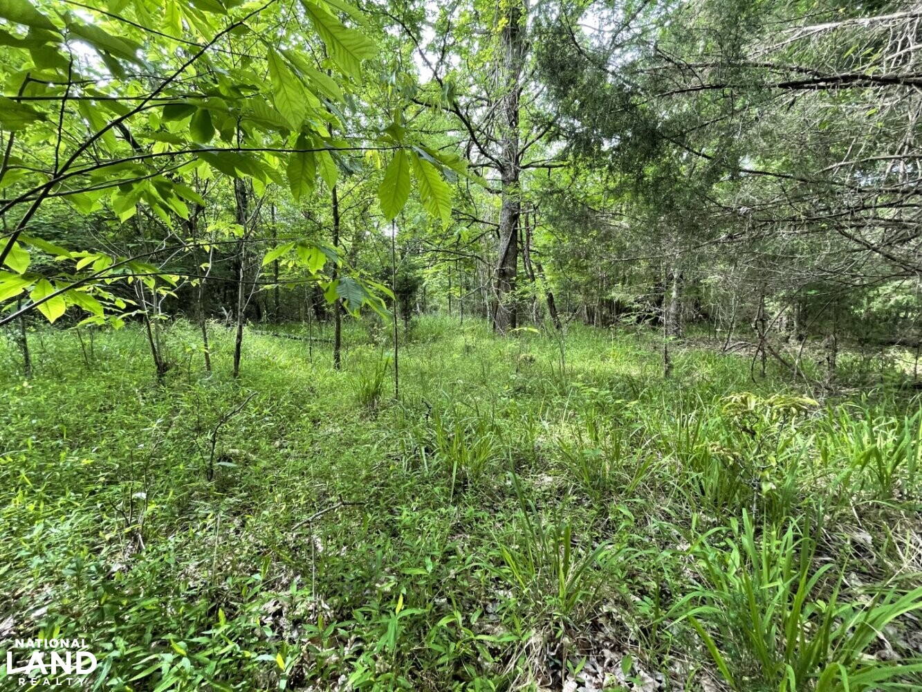 Callison Hunting & Recreational Property in Greenwood County, South