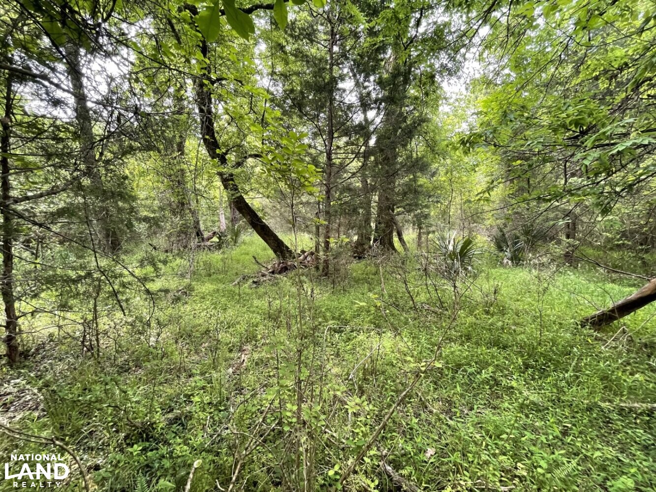 Callison Hunting & Recreational Property in Greenwood County, South