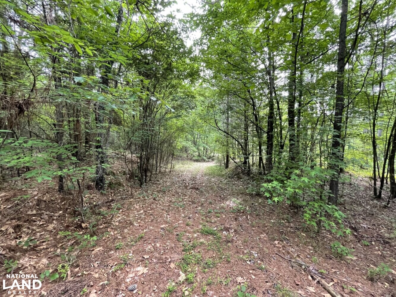 Callison Hunting & Recreational Property in Greenwood County, South