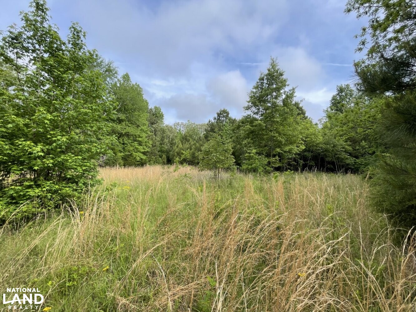 Callison Hunting & Recreational Property in Greenwood County, South