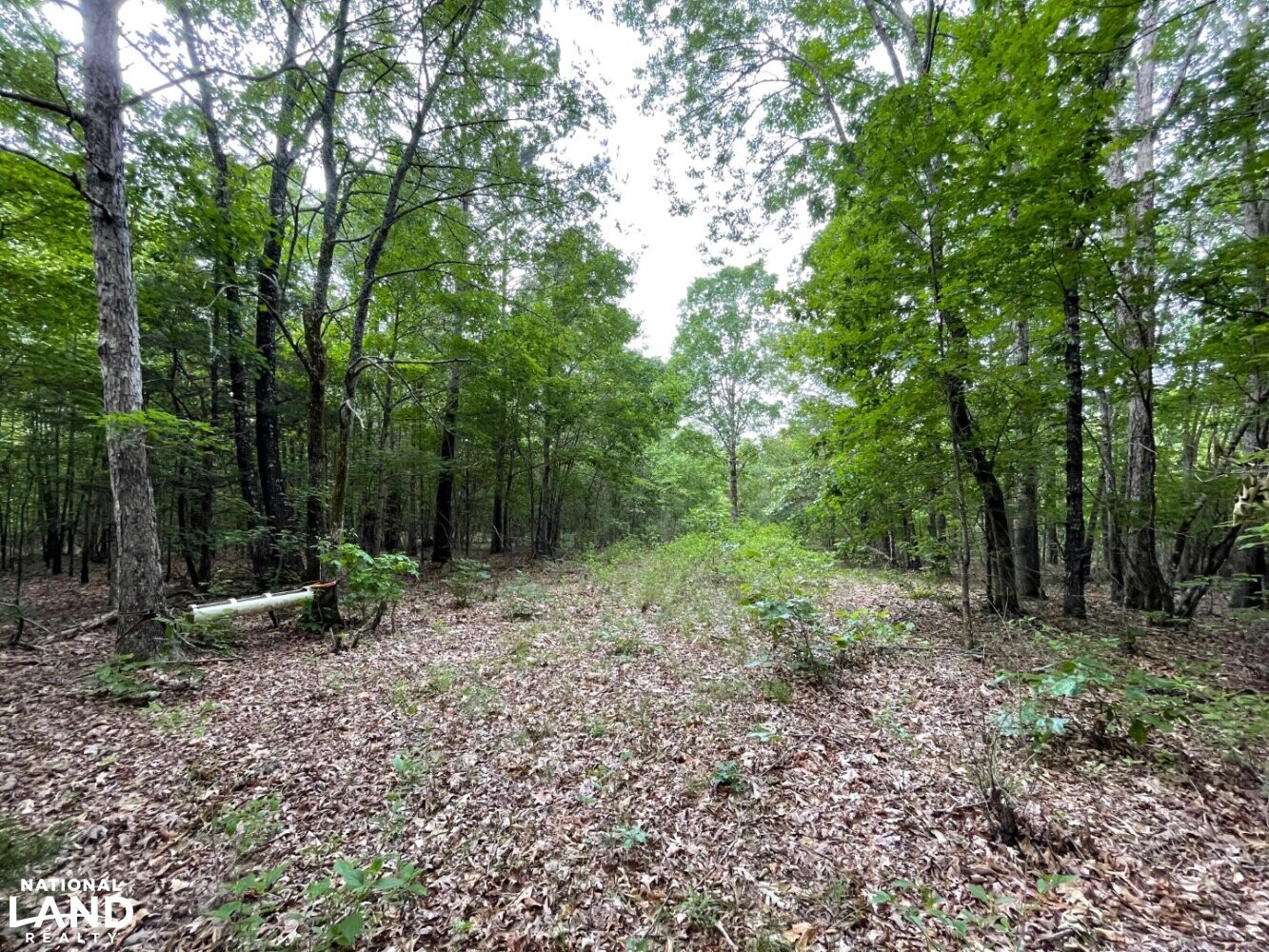 Callison Hunting & Recreational Property in Greenwood County, South