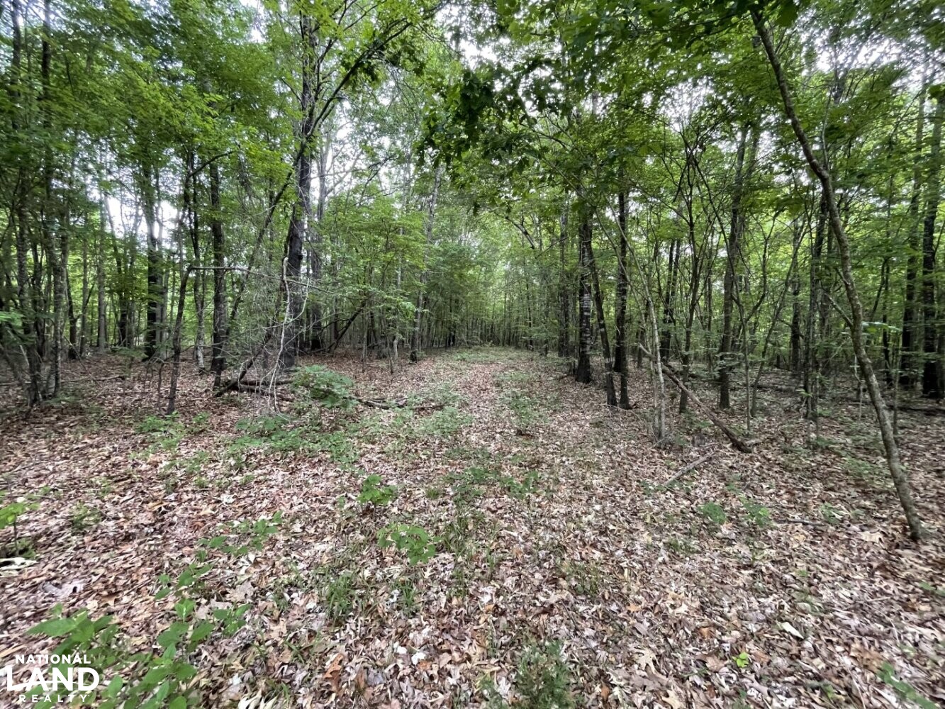 Callison Hunting & Recreational Property in Greenwood County, South