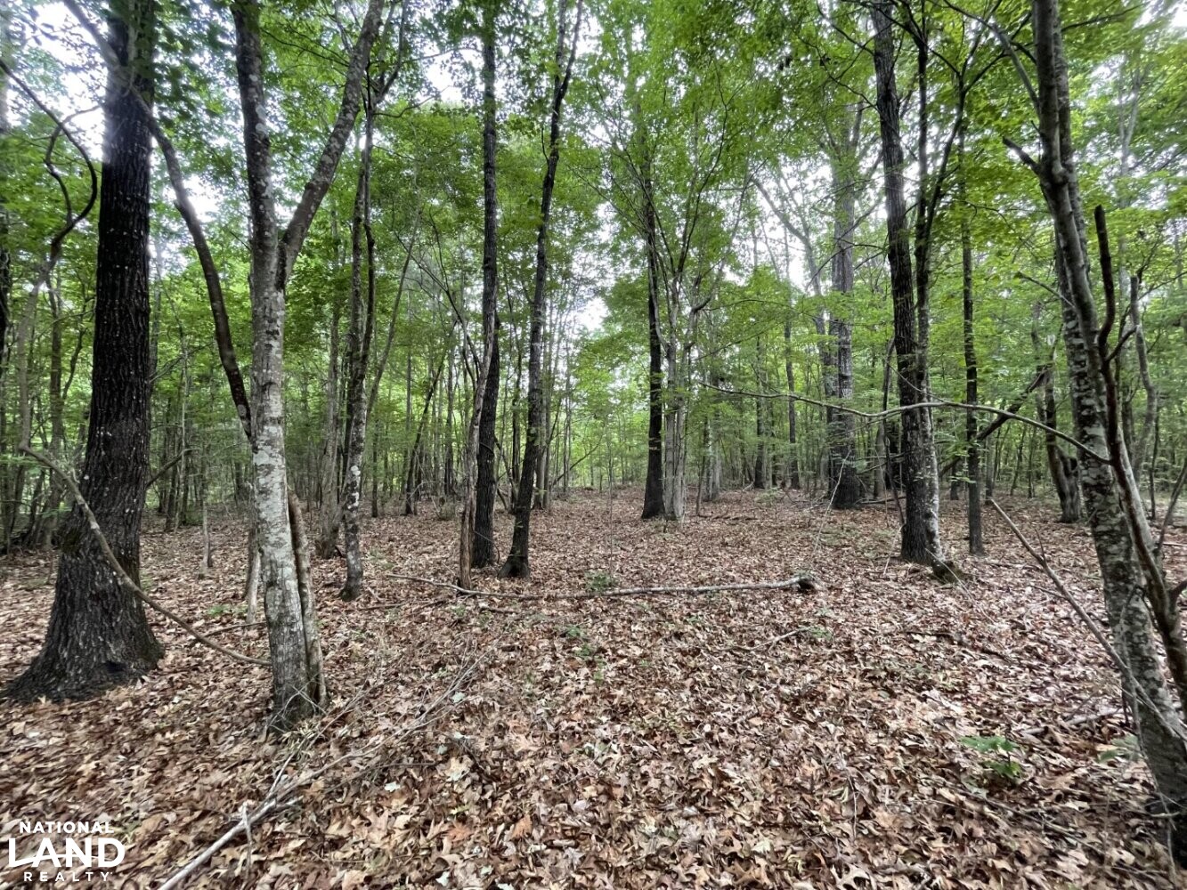 Callison Hunting & Recreational Property in Greenwood County, South