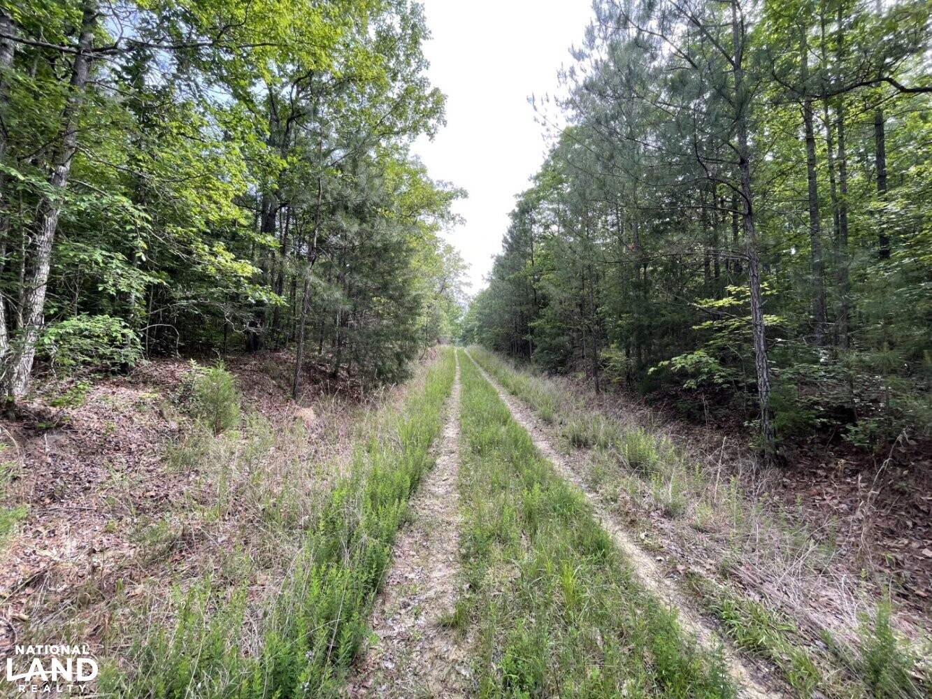 Callison Hunting & Recreational Property in Greenwood County, South