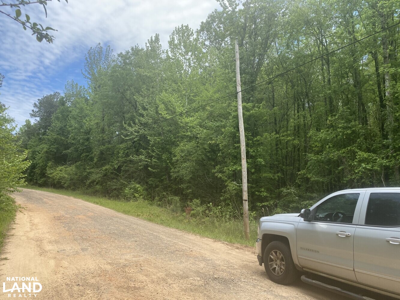 Cross Section Hunting in Macon County, Alabama (10 Photos) National Land Realty