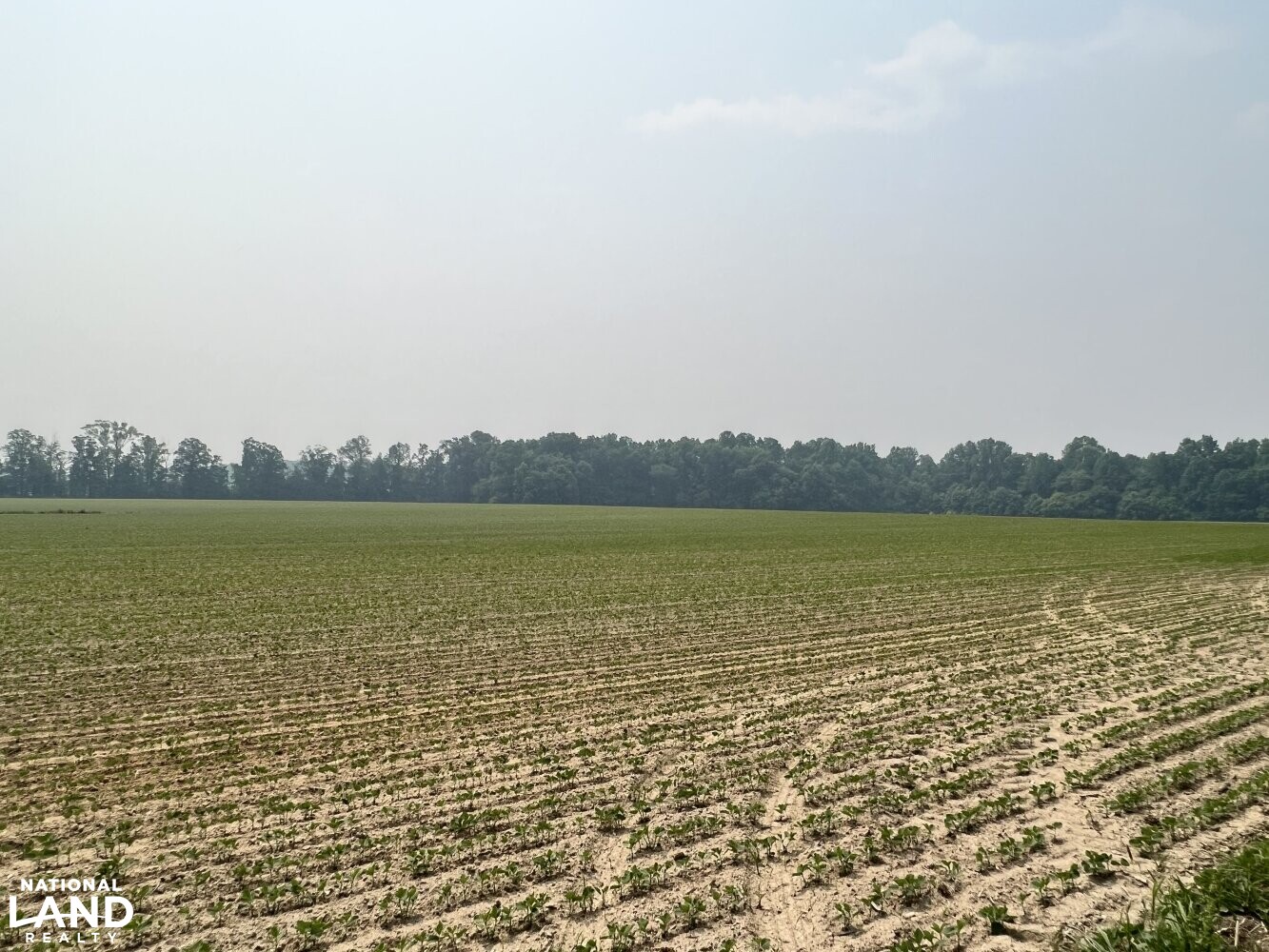 250+/- Acre Caroline County Farm in Caroline County, VA (8 of 8)
