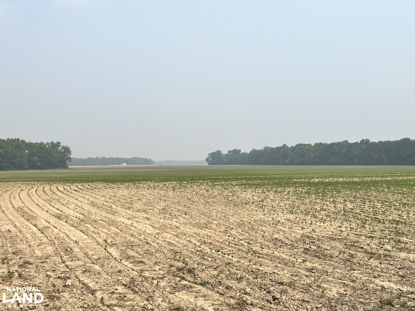 250+/- Acre Caroline County Farm in Caroline County, VA (1 of 8)