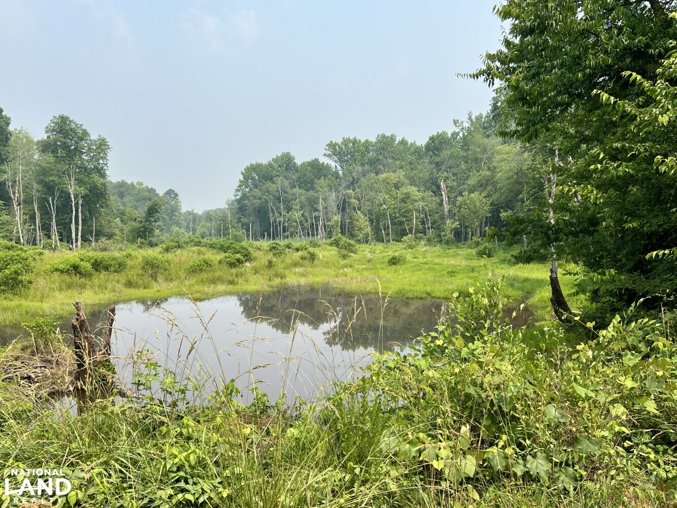 250+/- Acre Caroline County Farm in Caroline County, VA (3 of 8)