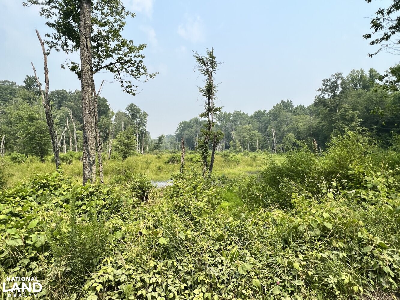 250+/- Acre Caroline County Farm in Caroline County, VA (6 of 8)