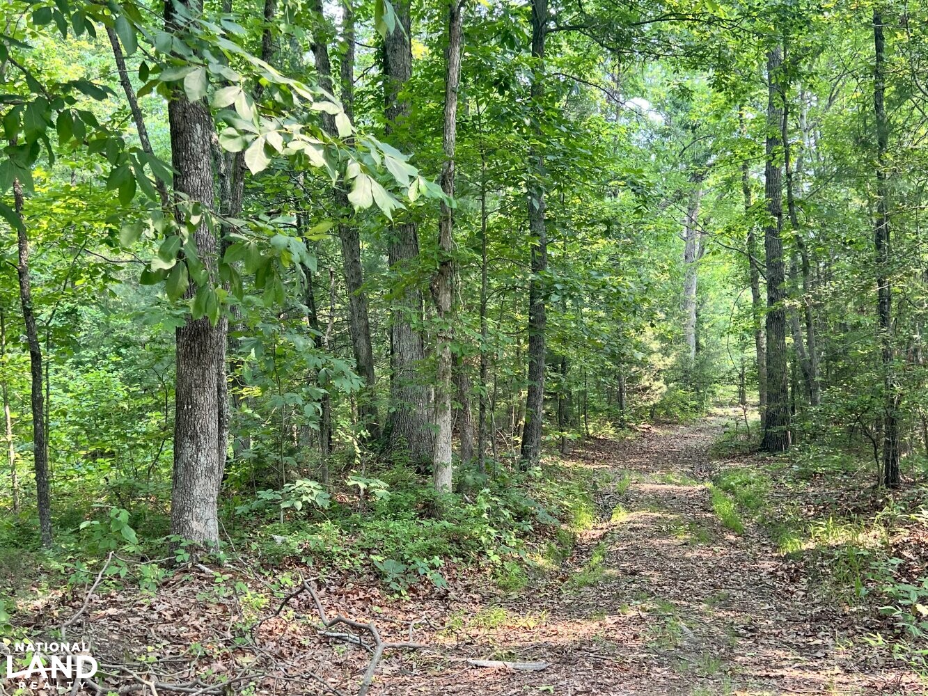 250+/- Acre Caroline County Farm in Caroline County, VA (5 of 8)