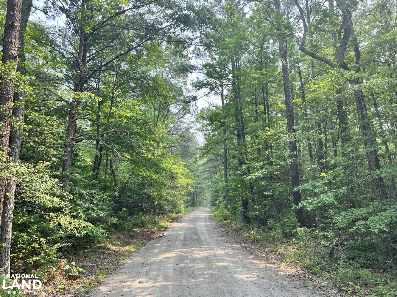 250+/- Acre Caroline County Farm in Caroline County, VA (7 of 8)