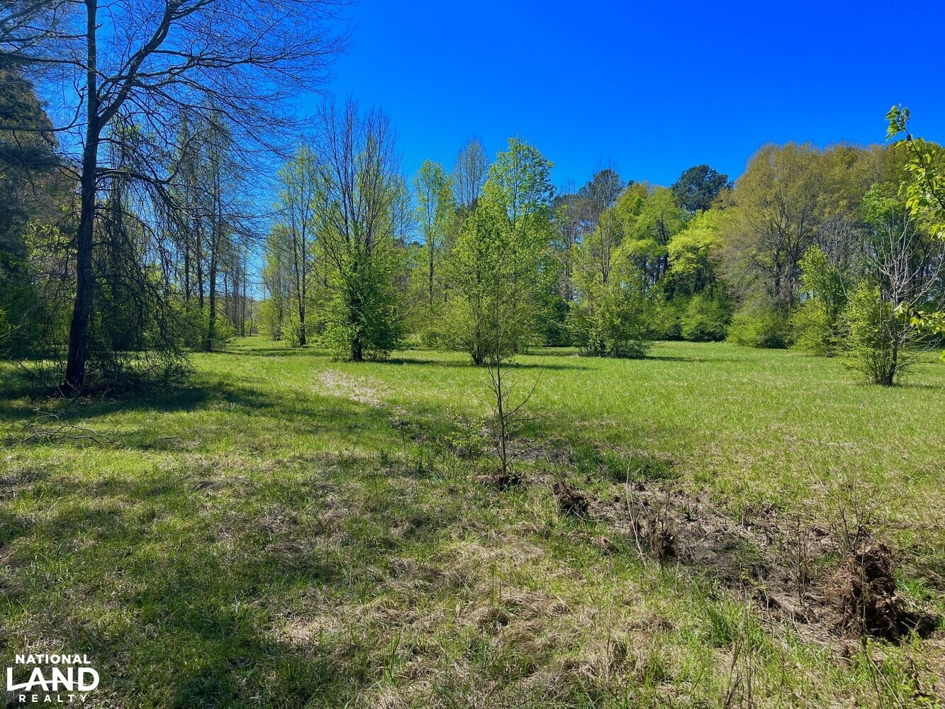 Hebb Estate & Horse Farm in Shelby County, Alabama (10 Photos