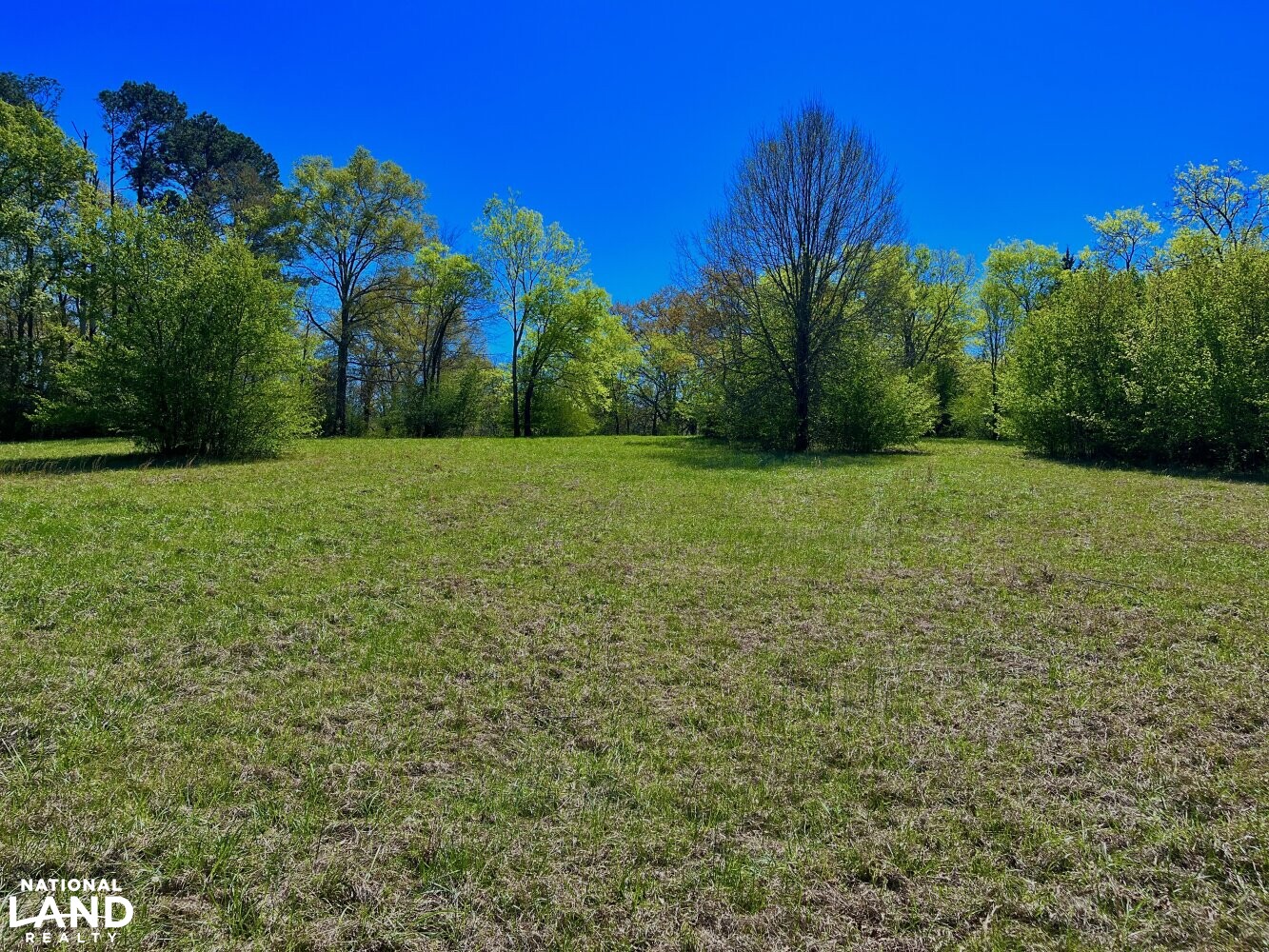 Hebb Estate & Horse Farm in Shelby County, Alabama (10 Photos