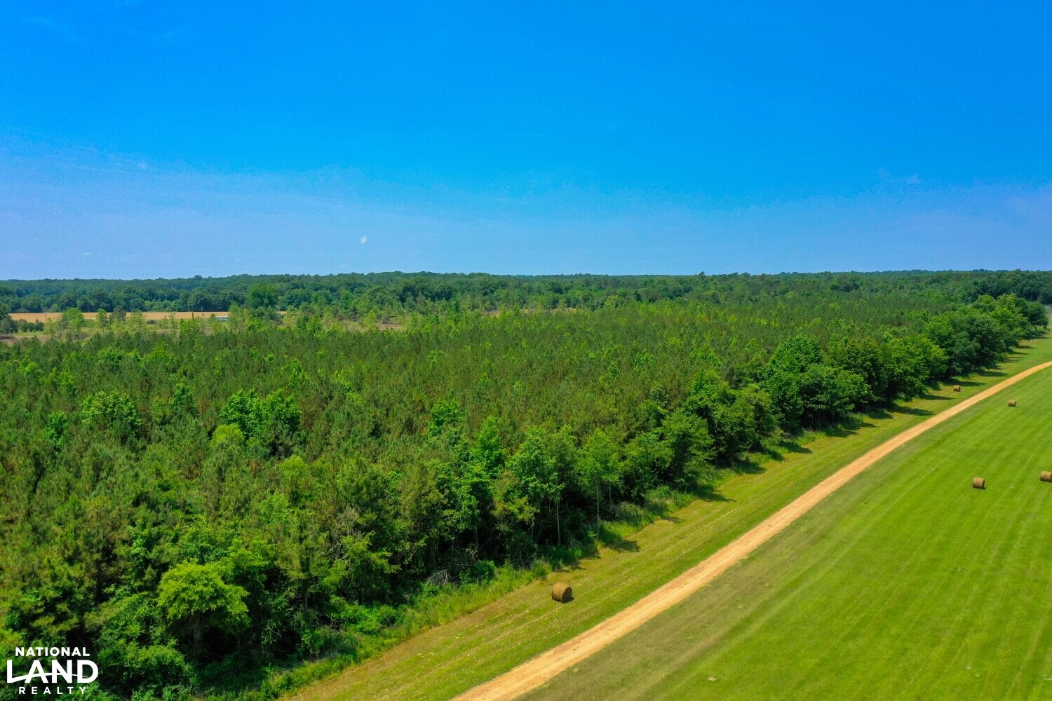 Great Development & Recreational Property in Holmes County, Mississippi (23 Photos) National