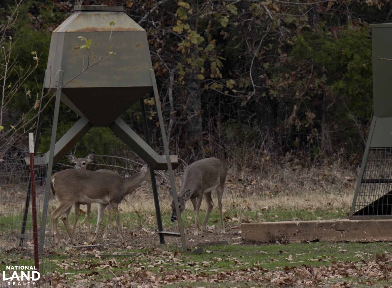 Lake Eufaula Hunting and Lakeview in Pittsburg County, Oklahoma (99