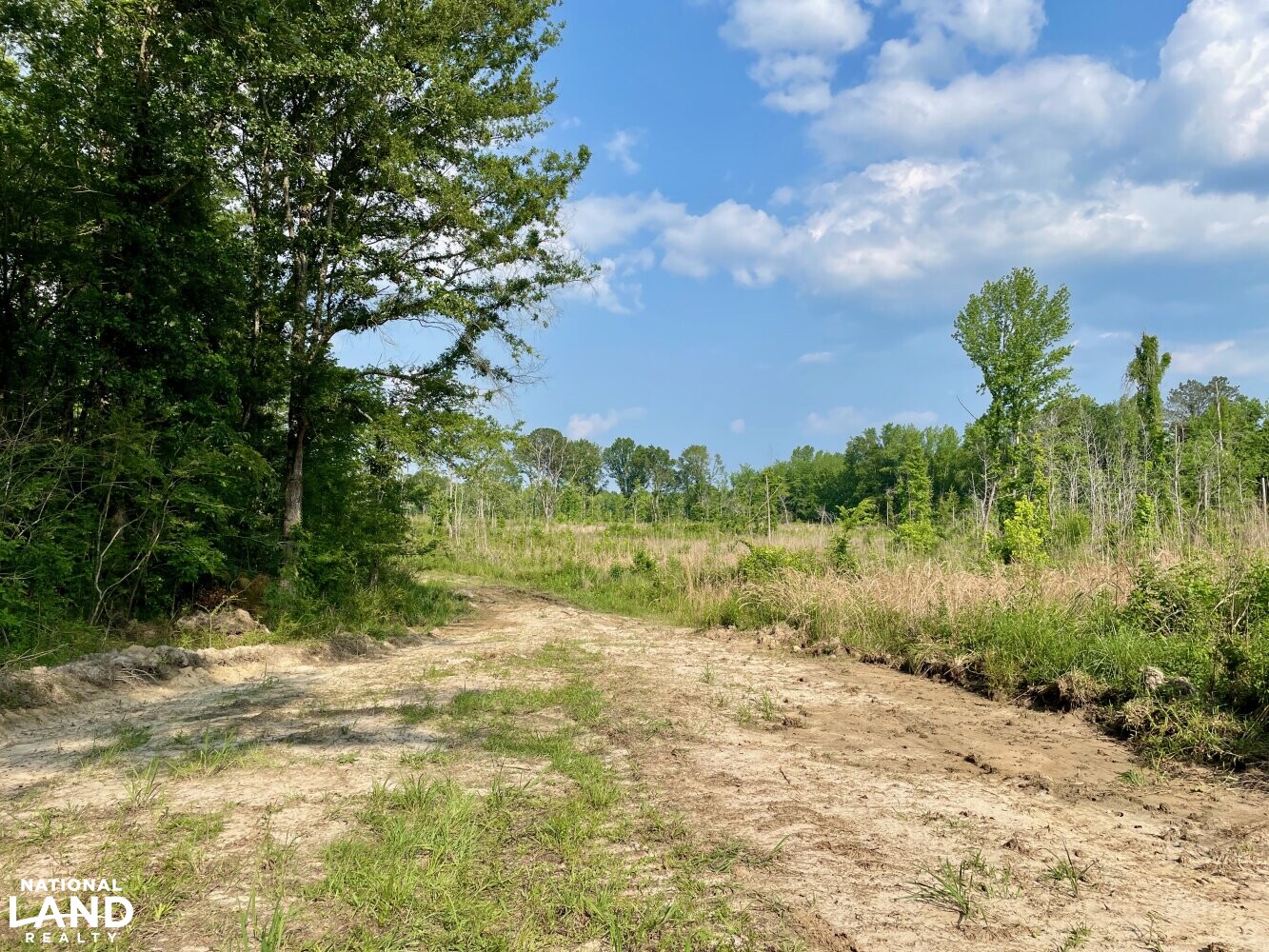 Panola Hunting & Recreational Tract in Sumter County, Alabama (30