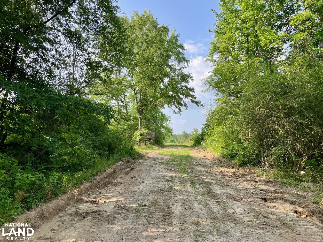 Panola Hunting & Recreational Tract in Sumter County, Alabama (30