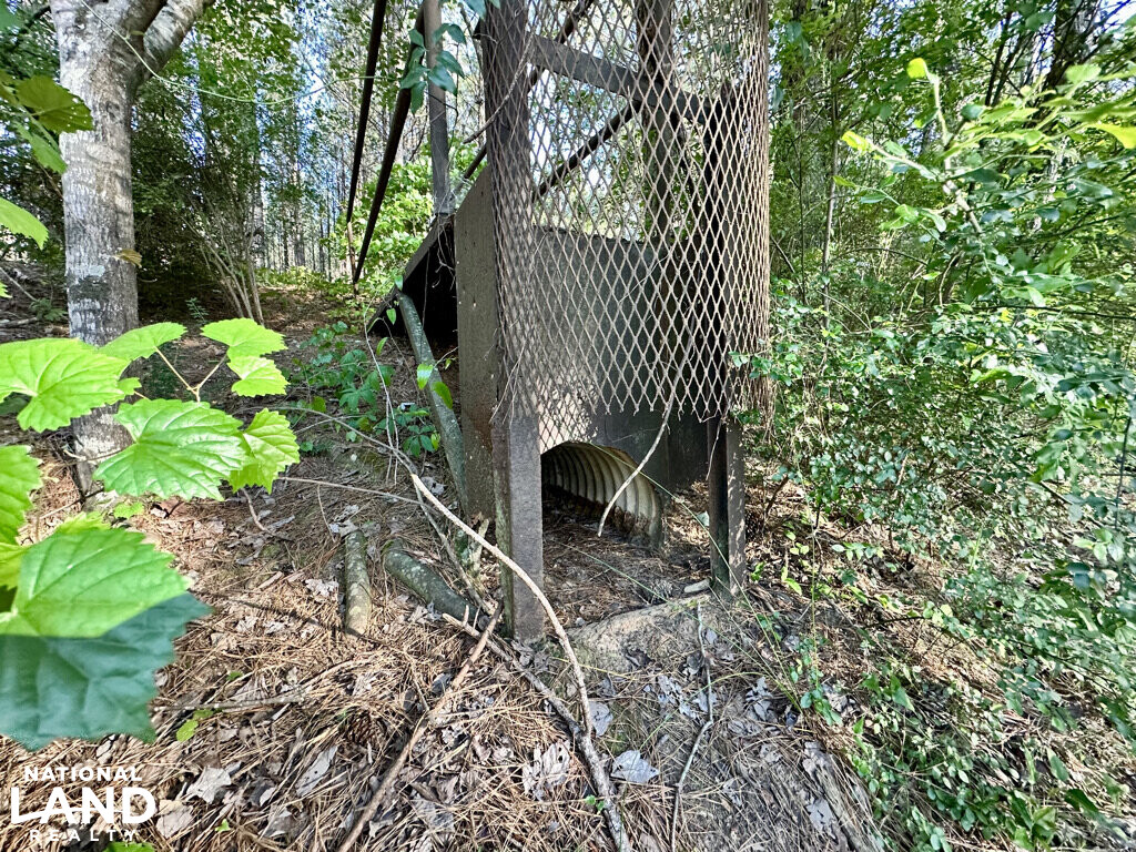 Buck Branch & Big Timber Near I16 in Twiggs County, (76 Photos