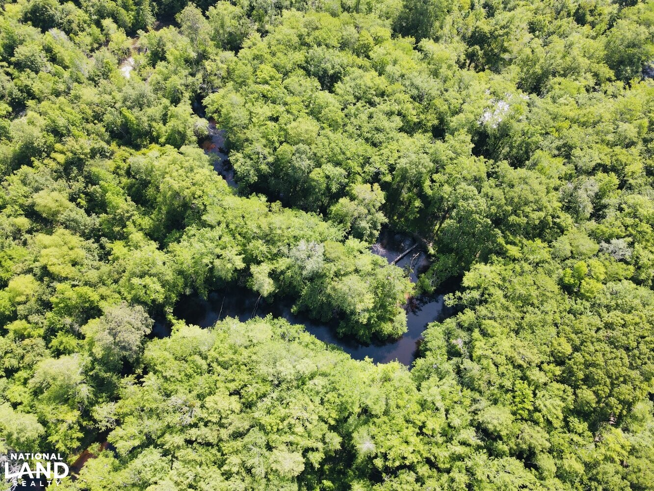 Lumber River Tract with Boat Ramp in Robeson County, North Carolina (14