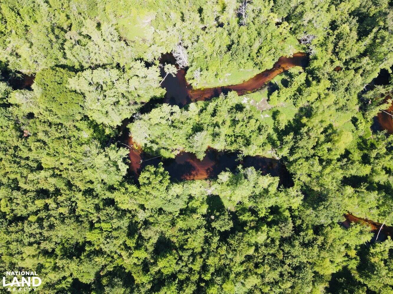 Lumber River Tract with Boat Ramp in Robeson County, North Carolina (14