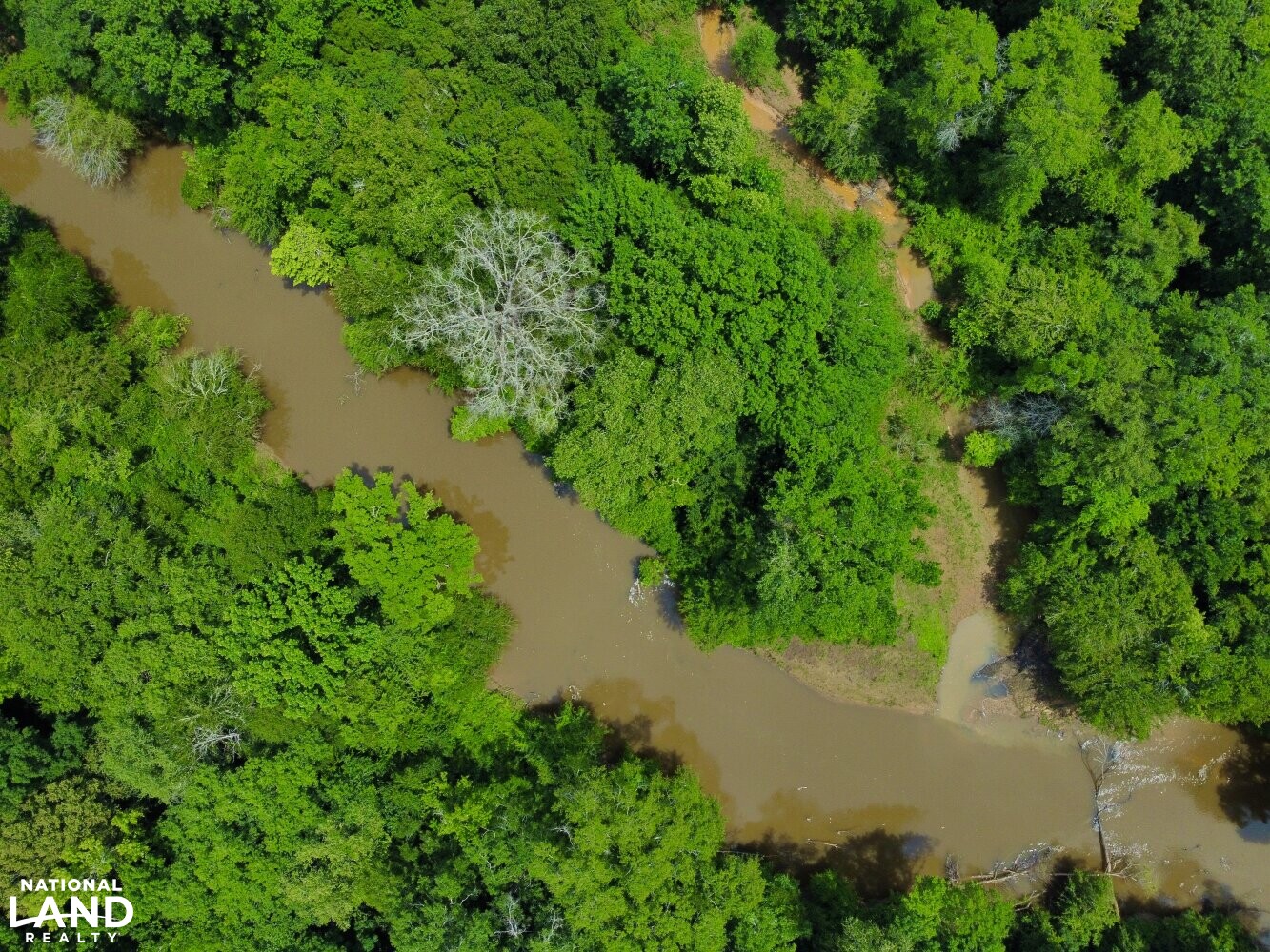 Sipsey River Timber & Hunting in Tuscaloosa County, Alabama (67 Photos