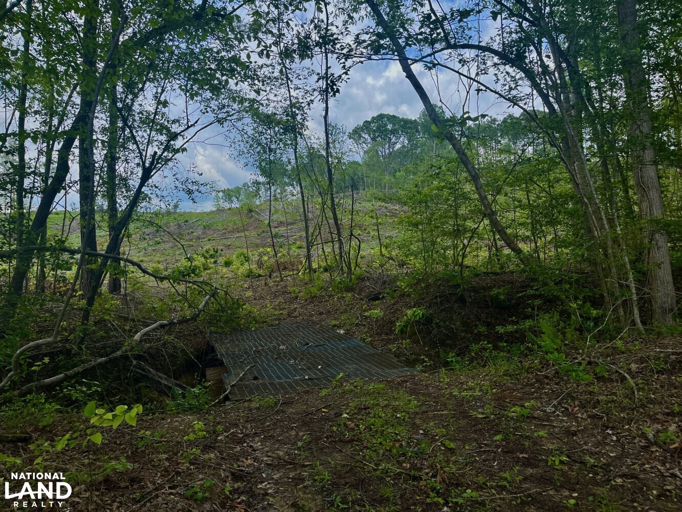 Sipsey River Timber & Hunting in Tuscaloosa County, Alabama (67 Photos