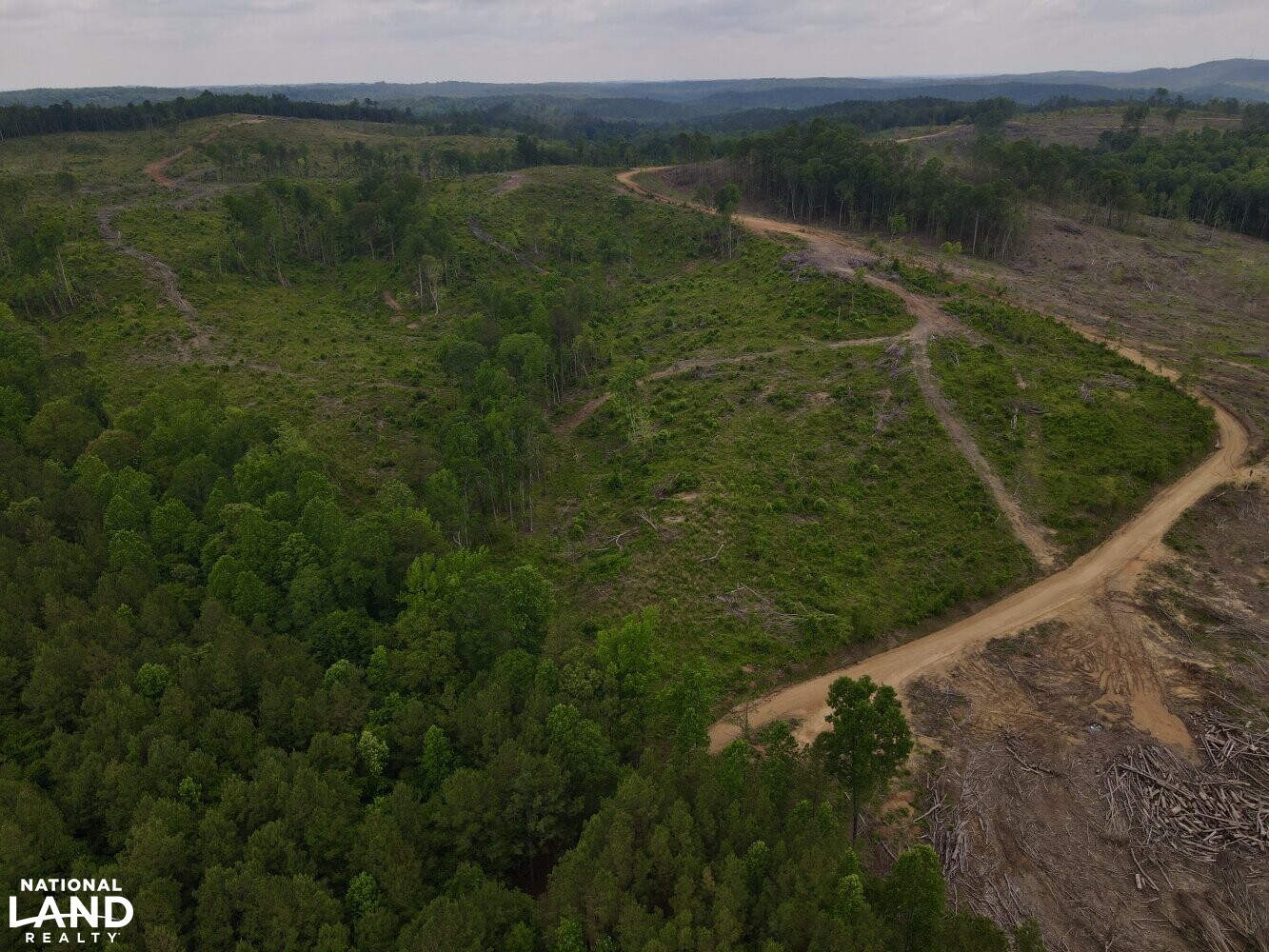 Sipsey River Timber & Hunting in Tuscaloosa County, Alabama (67 Photos