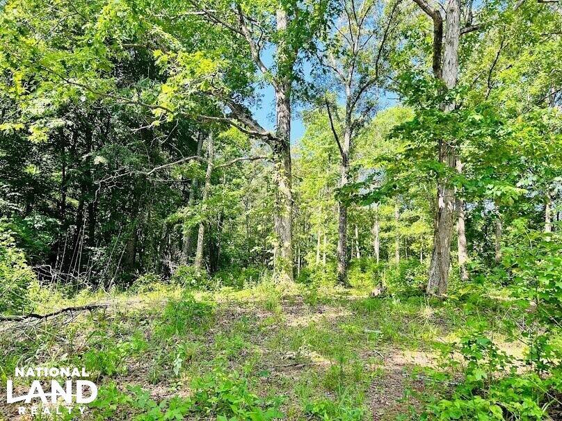 LaGrange Waterfront Property in Troup County, (15 Photos