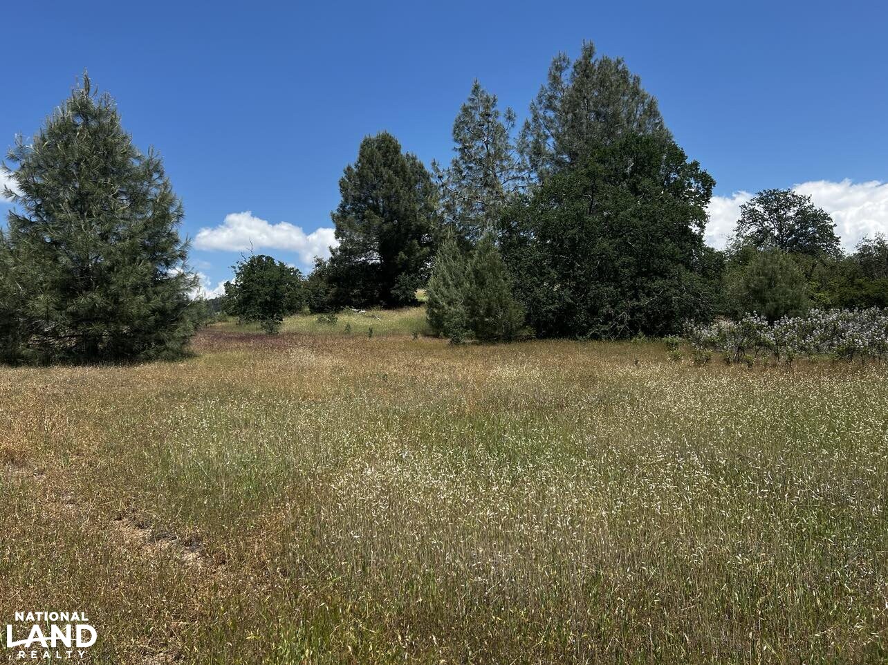 11 ac+/ Homesite in Manton, CA in Shasta County, California (19 Photos