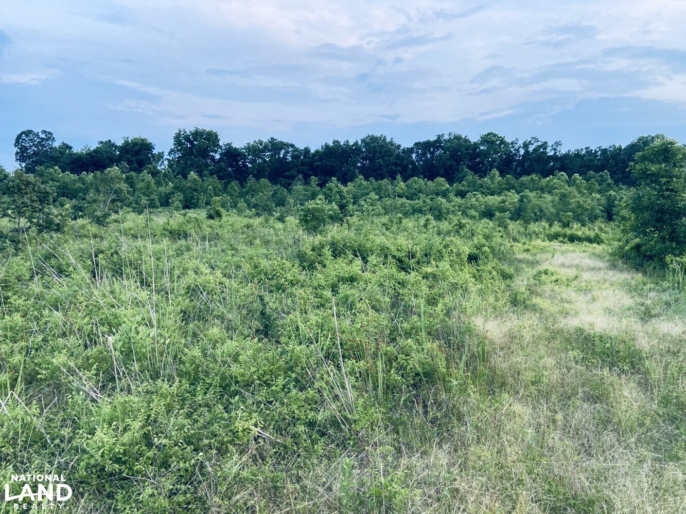 MS Delta Recreational Dream in Quitman County, Mississippi (55 Photos