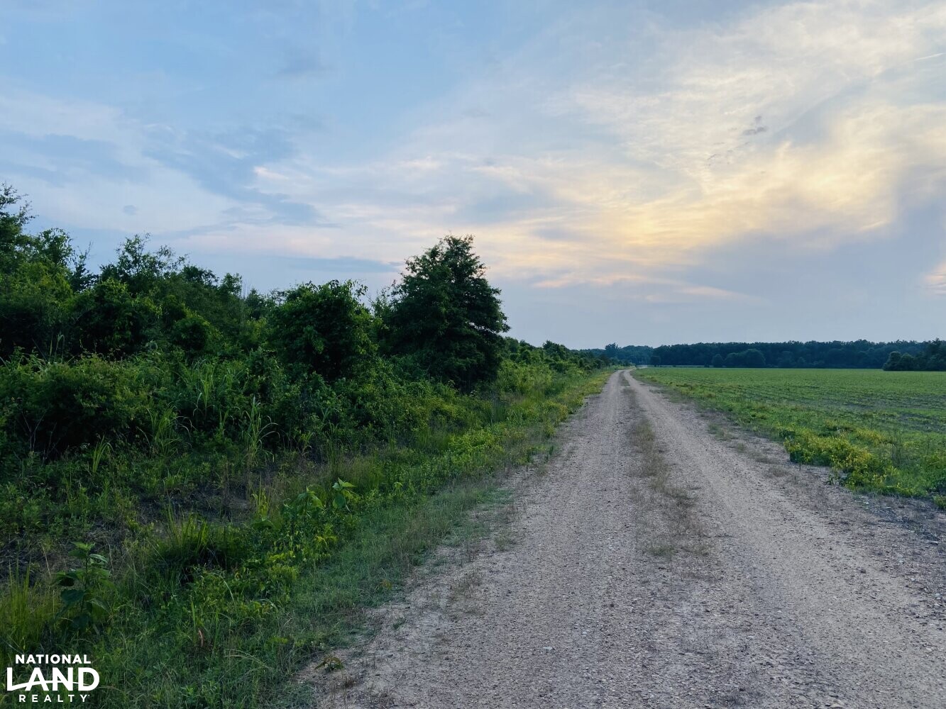 MS Delta Recreational Dream in Quitman County, Mississippi (55 Photos