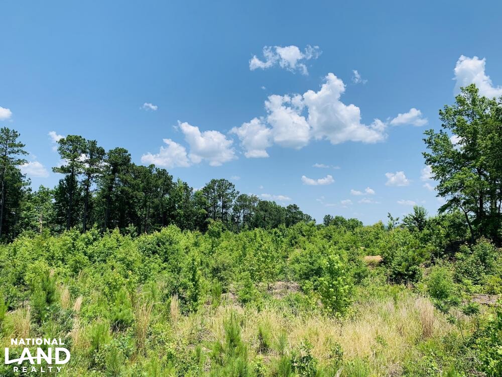 Columbia Investment Acreage with I20 Frontage in Richland County