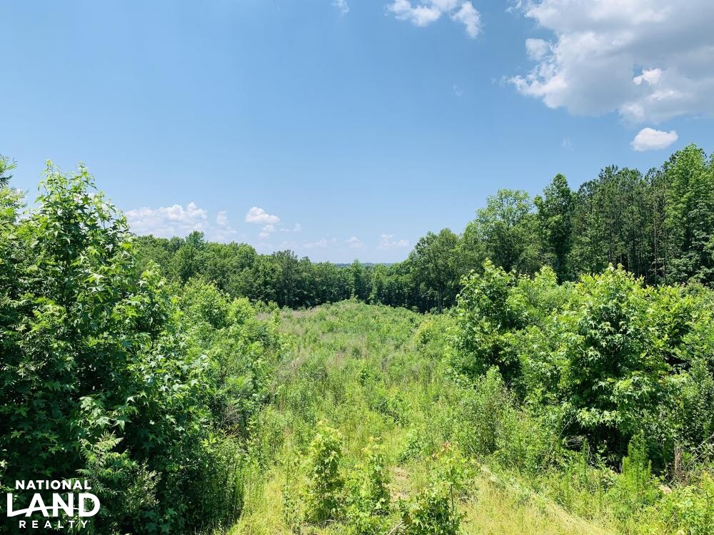 Columbia Investment Acreage with I20 Frontage in Richland County