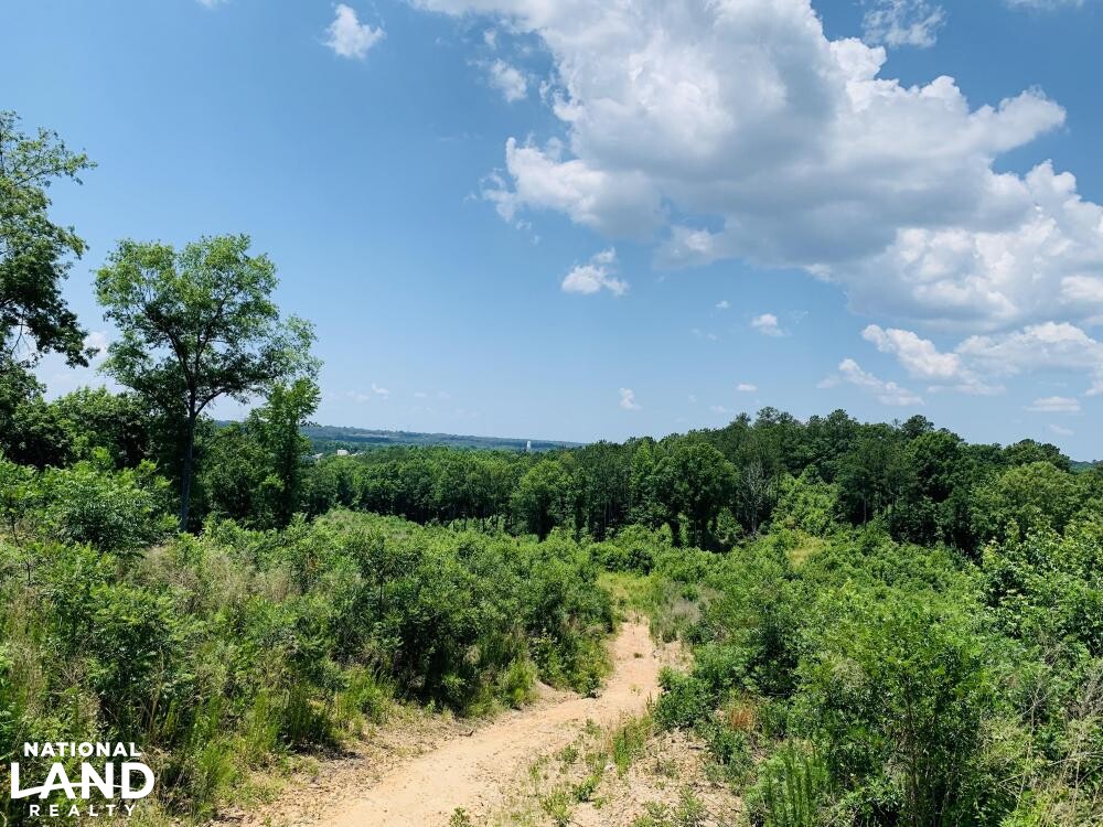 Columbia Investment Acreage with I20 Frontage in Richland County