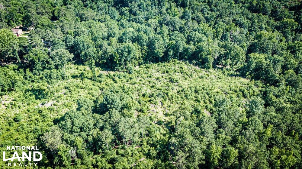 Columbia Investment Acreage with I20 Frontage in Richland County