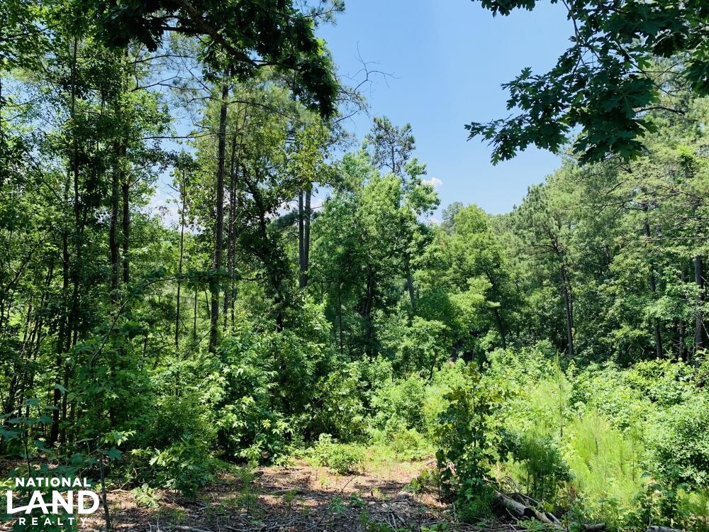 Columbia Investment Acreage with I20 Frontage in Richland County