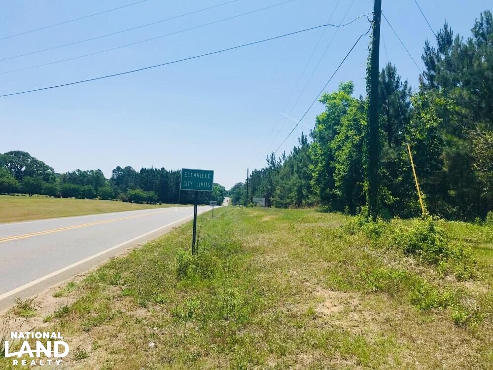 Recreational Land with Investment Potential in Schley County,