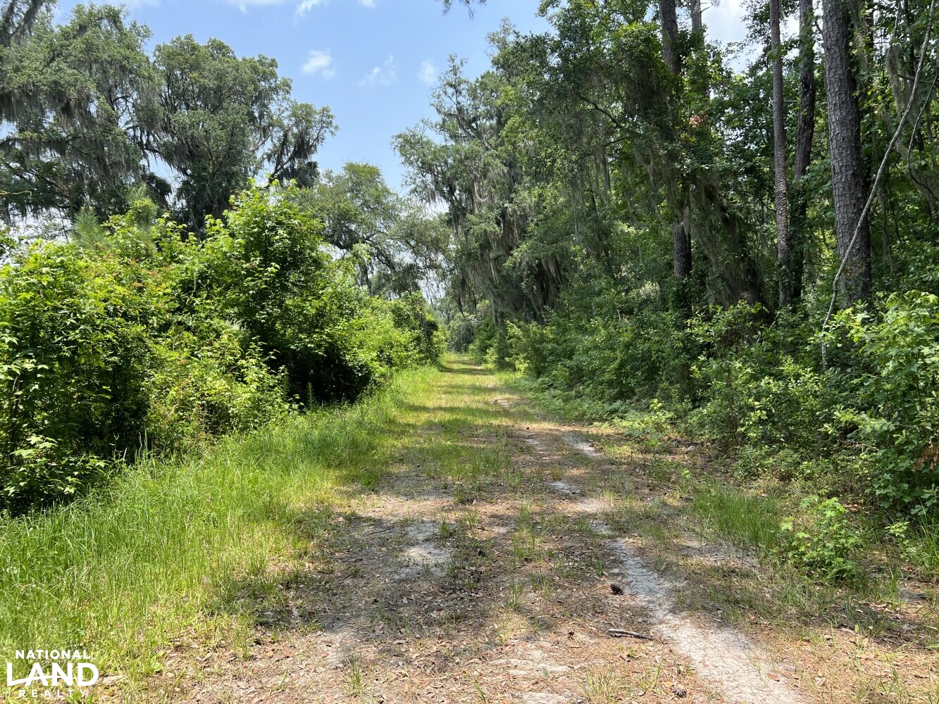 Shell Road Estate in Glynn County, (44 Photos) National Land