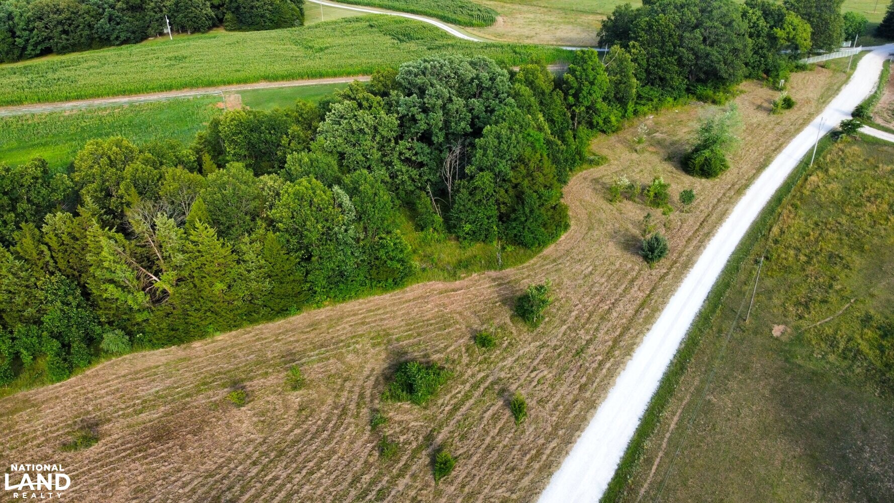 Wonderful opportunity to build a mini-farm or homestead (5 of 10)